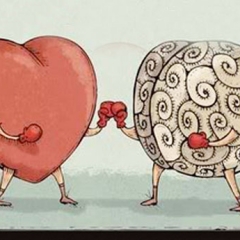 La razón no conoce las razones del corazón