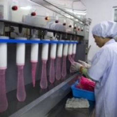 LA PROTECCIÓN DEL CONDÓN