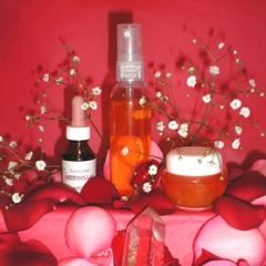 Con tanto avance de la ciencia, ¿por qué no contamos con verdaderos afrodisíacos?