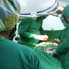 CIRUGÍAS PLÁSTICAS VAGINALES CIRUGÍAS PLÁSTICAS VAGINALES