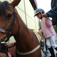 ¿Se puede perder la virginidad montando a caballo o bicicleta?