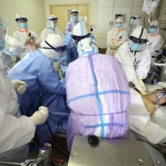 ¿CUÁNTO DURARÁ ESTA PANDEMIA? ¿CUÁNTO DURARÁ ESTA PANDEMIA?