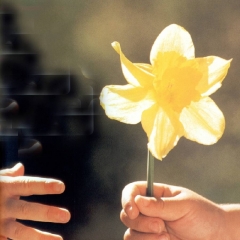 ¿Qué importancia tiene el pequeño detalle en la salud mental?