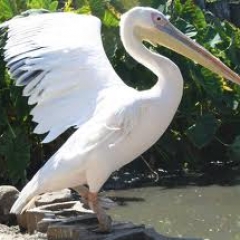 ¡Una madre sublime!