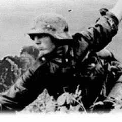 La historia plástica