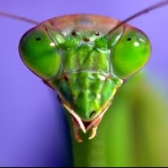 ¡Cuidado con ser como la mariaseca!