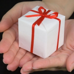 EL REGALO PENDIENTE.