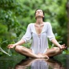 ¿Entre cuántas formas de compañías podemos optar en salud mental?