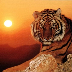 La orina en el mundo animal.