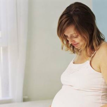 LA CIGÜEÑA Y LOS TINTES