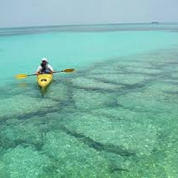 MATA A UNO PARA QUE ENTIENDAN TODOS