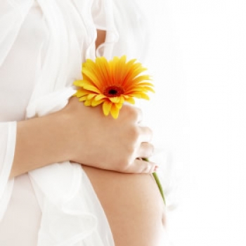 La gripe porcina representa un peligro durante el embarazo ?