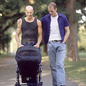 No entiendo por qué en algunos países a los homosexuales se les permite la adopción.