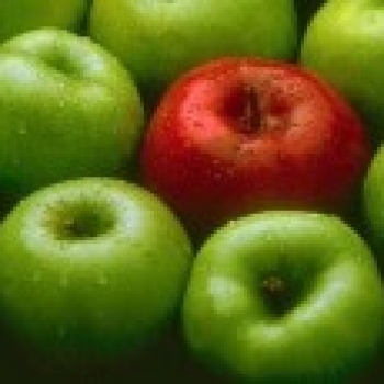 ¡La manzanita madura!