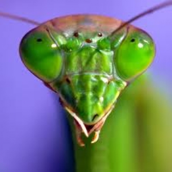 ¡Cuidado con ser como la mariaseca!