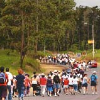 TENER EN MENTE A LA VIRGEN TODO EL AÑO